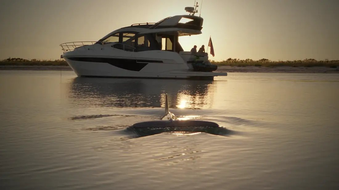 A dolphin surfacing near the anchored yacht at sunset